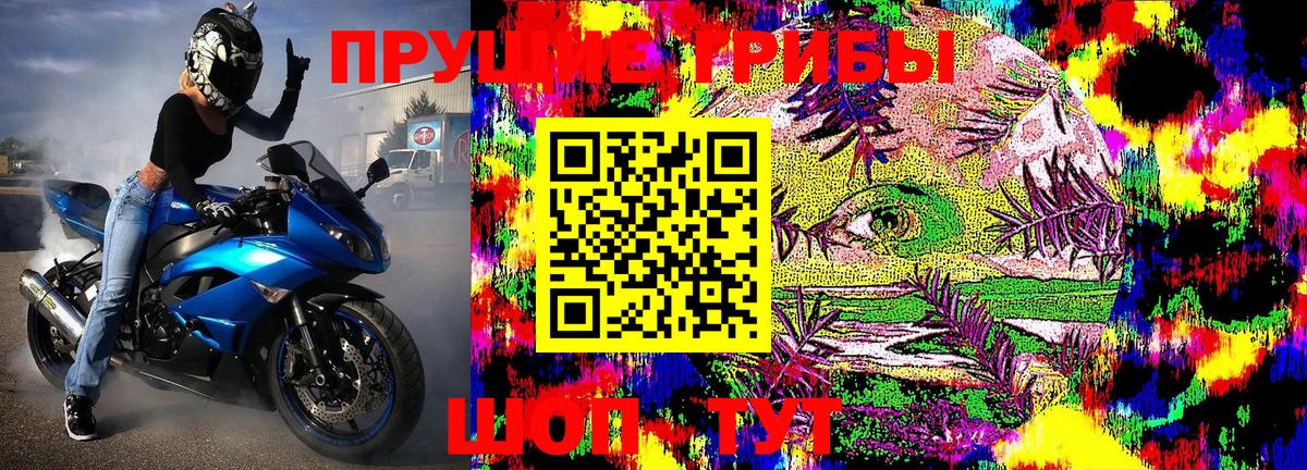 Галлюциногенные грибы Psilocybine cubensis  Вход с VPN  Дубна 