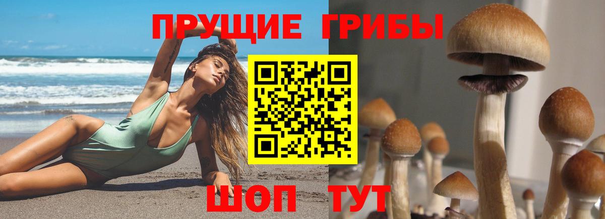 Псилоцибиновые грибы мухоморы Дубна
